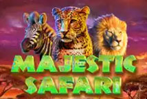 Safari Madness 34019